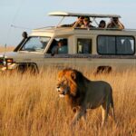 Mara-jeep-safaris