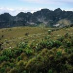 Aberdares-National-Park