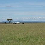 kenya-air-safaris
