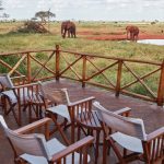ngutuni-safari-lodge