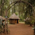 Bomas-of-Kenya3