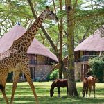 Lake-Naivasha-Sopa-Resort