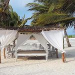 LifeResort-ST-Thomas-Royal-Palm2