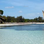 Malindi_Marine_National_Park