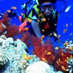 Malindi_Marine_National_Park2