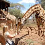 giraffe-center-nairobi