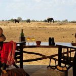 satao-camp2