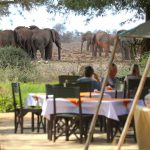 satao-camp4