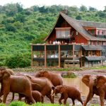 the-ark-hotel