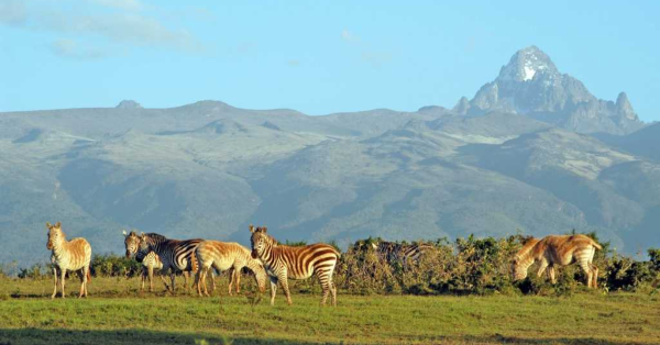 Best time to visit Kenya for safari
