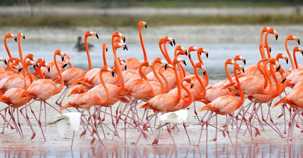 Kenya Safari Destinations Beyond Masai Mara