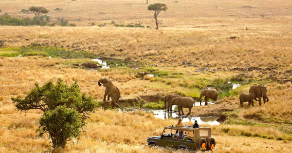 Best Masai Mara Safari Packages