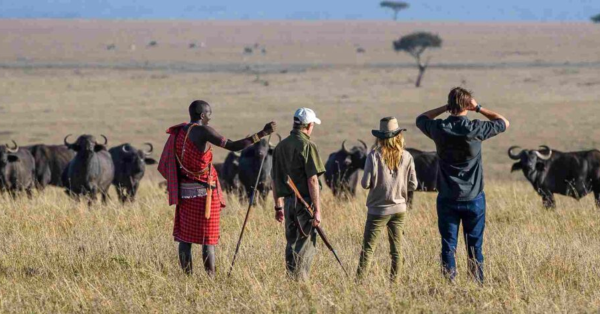 Affordable Group Safari Packages