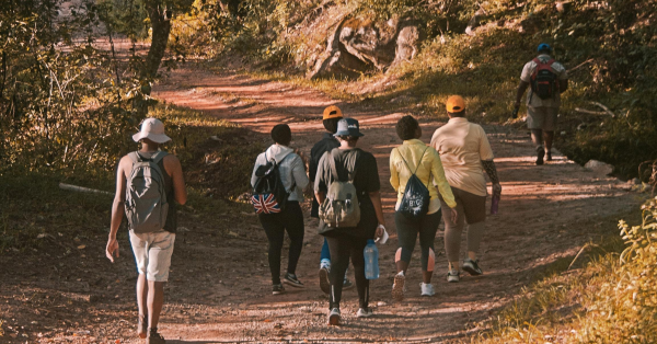 Affordable Group Safari Packages