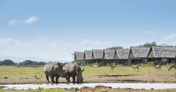 Kenya Safari Destinations Beyond Masai Mara