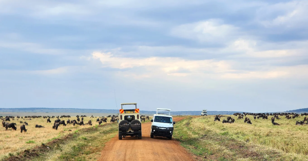 Private Safaris in Kenya