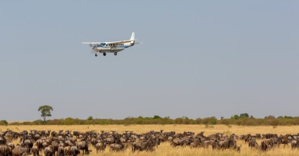 Ultimate Kenya Safari Guide