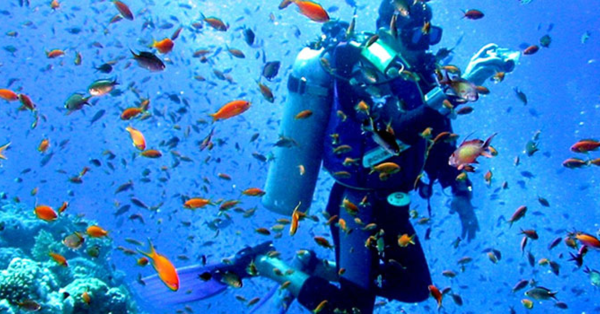 Best Coastal Destinations in Kenya