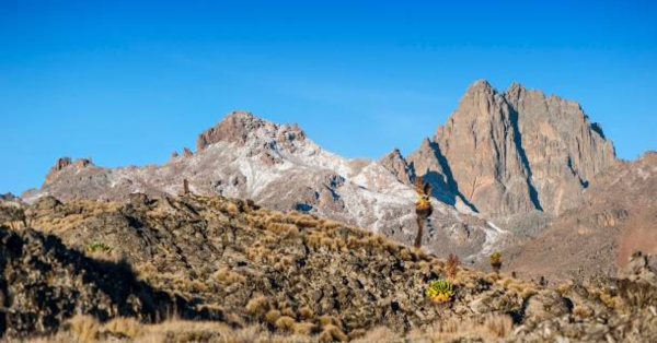 Mount Kenya Climbing Tours