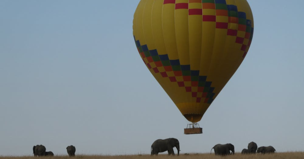 Best Time to Visit Kenya for Safari