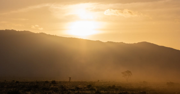 Combined Safaris Kenya