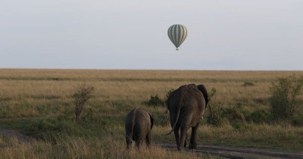 Kenya Safari Itinerary